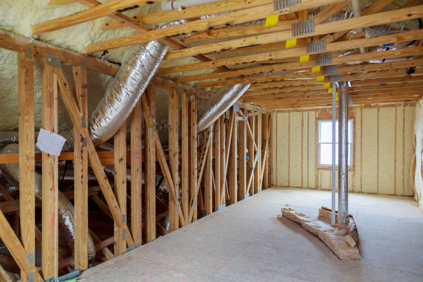 Best Insulation Removal  in Desloge, MO